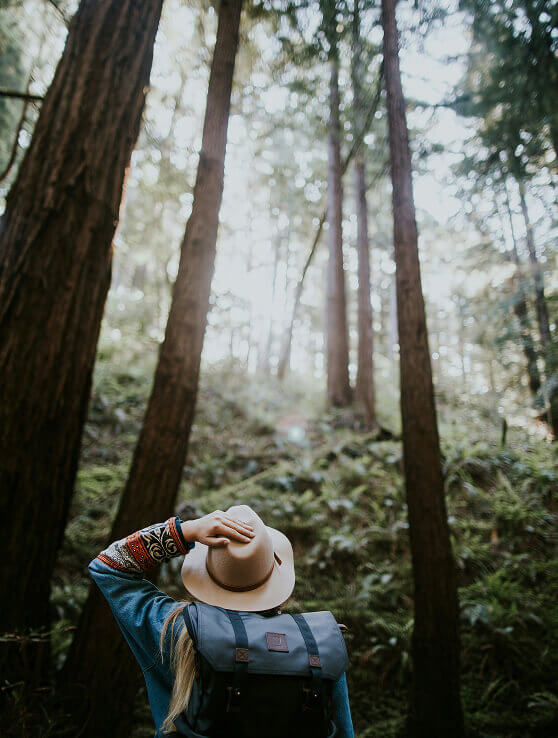 Person mit Hut und Rucksack blickt in hohen Wald.