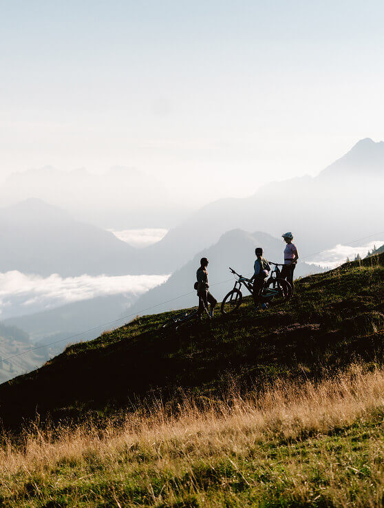 Drei Biker auf Bergwiese mit Panoramablick.