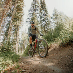 Mountainbiker fährt auf unbefestigtem Weg im Wald.