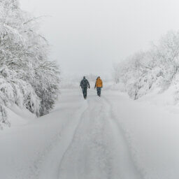 Zwei Personen wandern auf tief verschneitem Weg zwischen Bäumen.