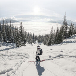 Skifahrer auf verschneitem Hang über Wolkenmeer.