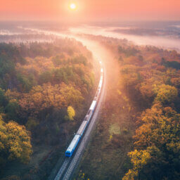 Blauer Zug fährt im Herbstwald bei nebligem Sonnenaufgang.