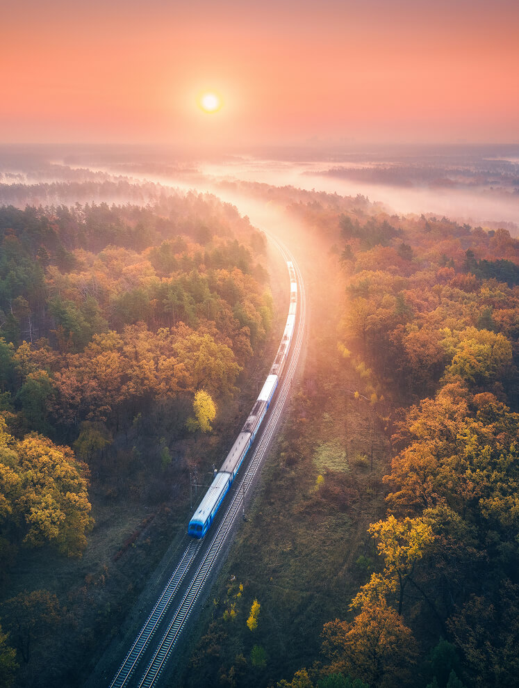 Blauer Zug fährt im Herbstwald bei nebligem Sonnenaufgang.